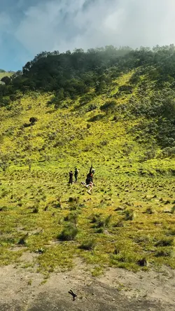 1 video