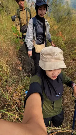 Bocah Petualang