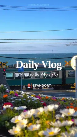 Daily vlog