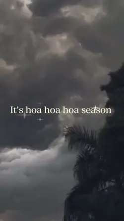 hoa hoa hoa season ✨
