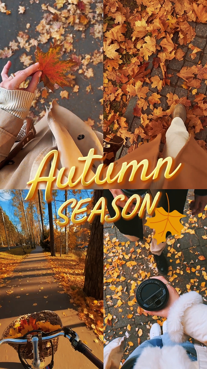 Autumn Season