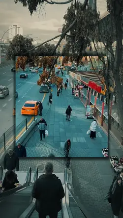 5 video clips