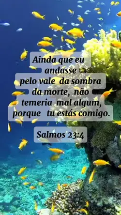 motivação diária 