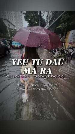 Yêu từ đâu mà ra