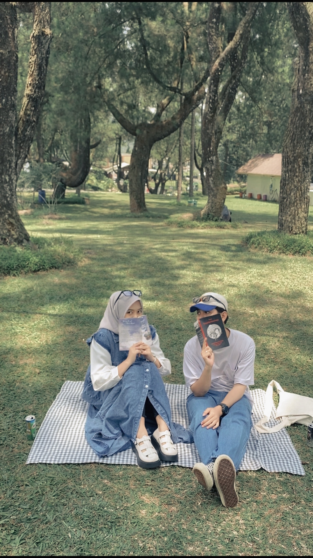 Cover Picture