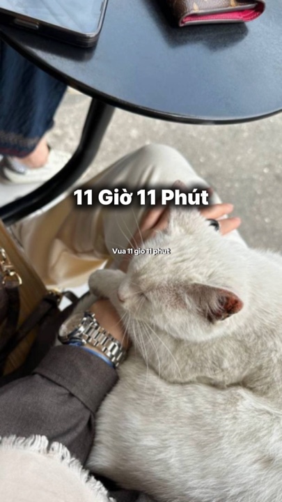 11 Juin 11 Phut