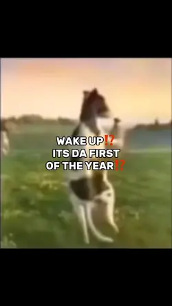 New Year Special ✨