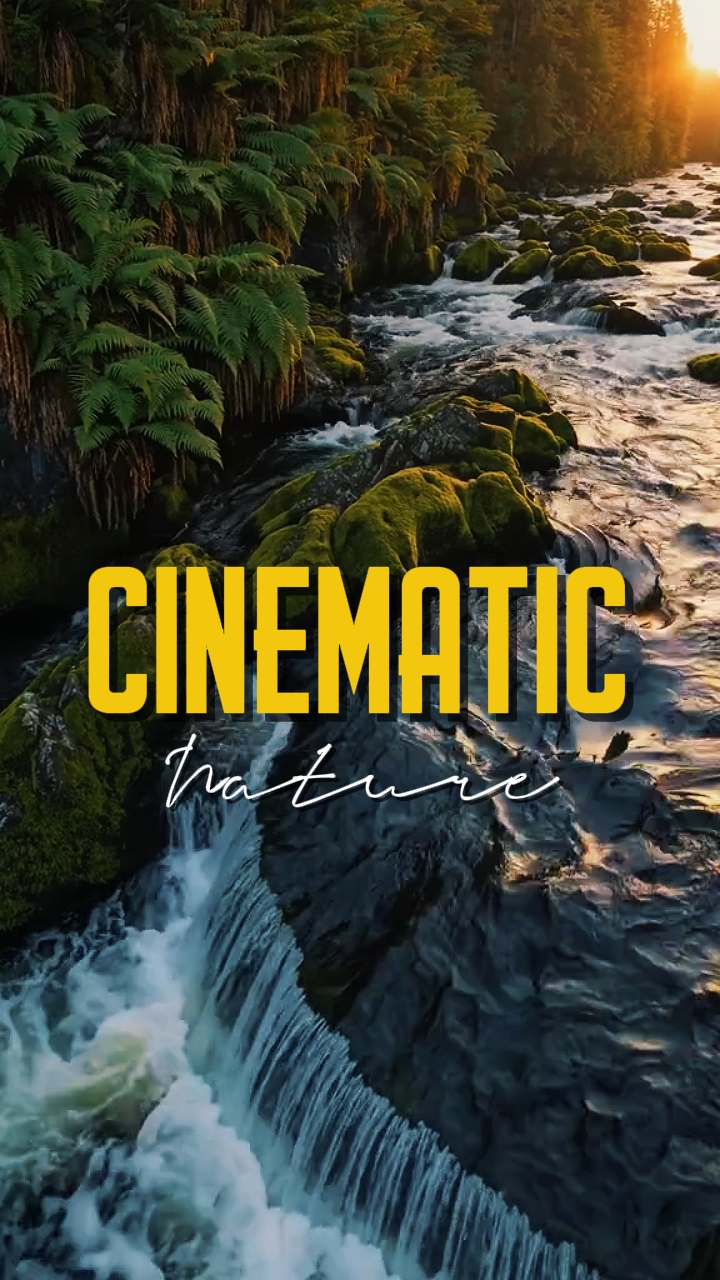 NATURE CINÉMATIQUE 