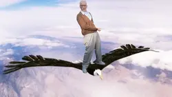 eagle flying templat