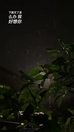 雨天