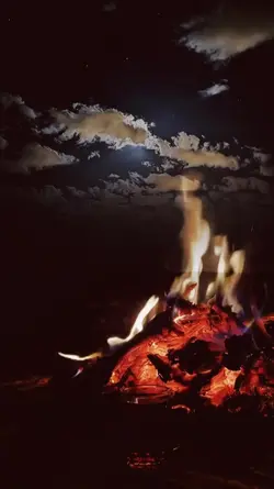 Aklım Divane...