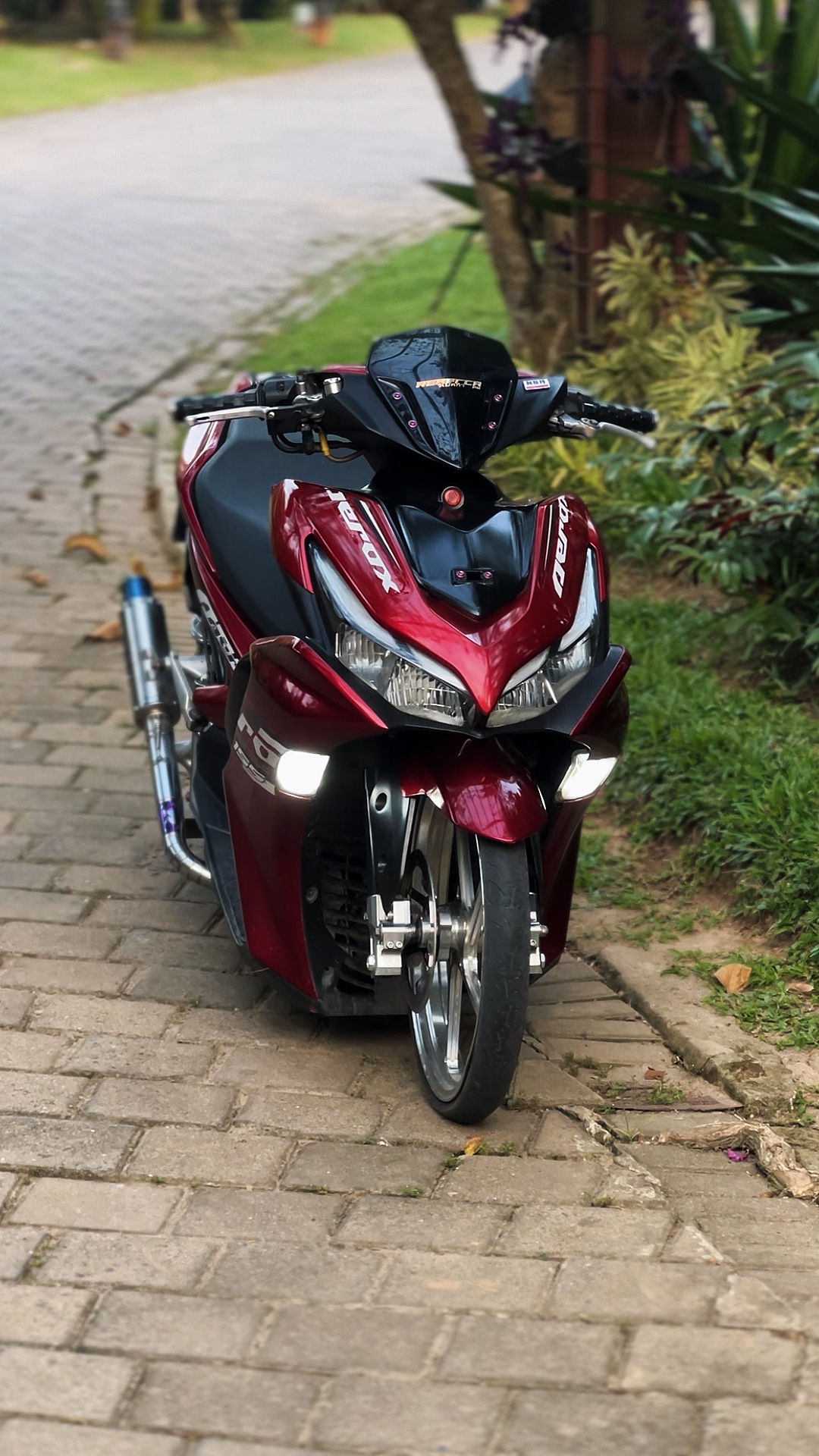 Cover Picture