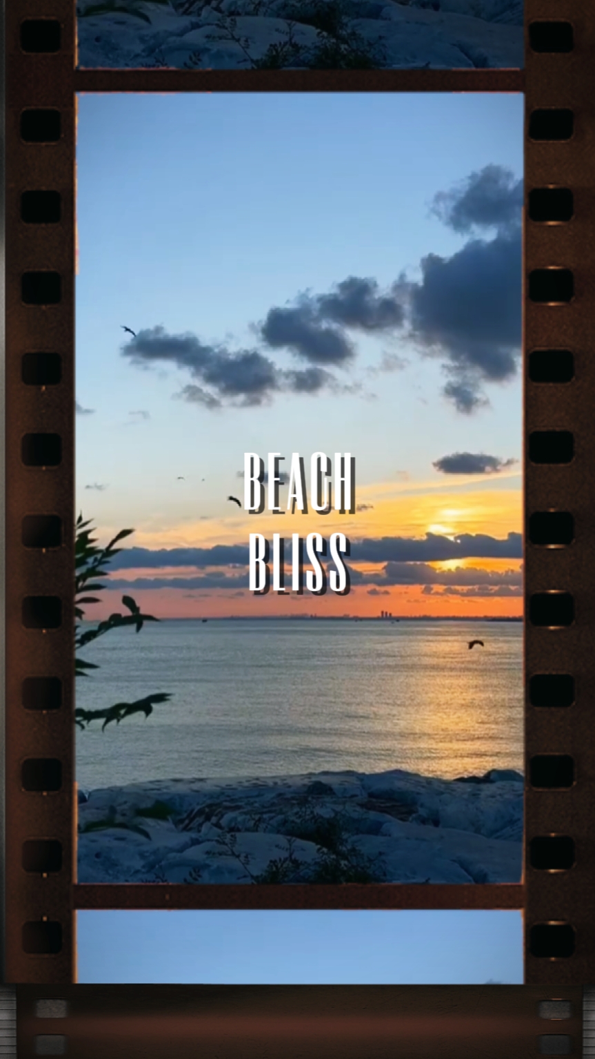 L'heure de la plage! 