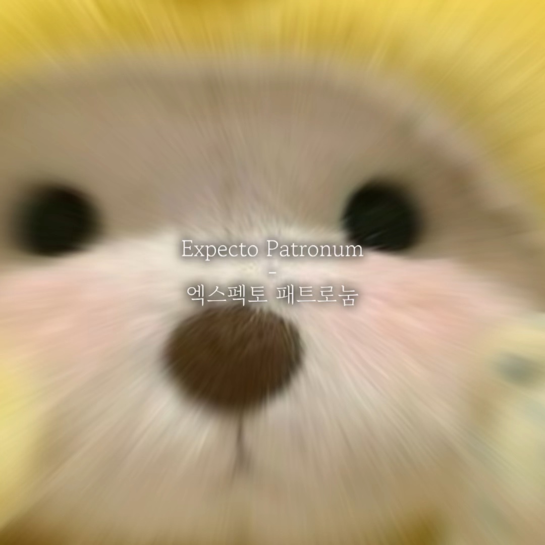 엑스펙토 페트로눔