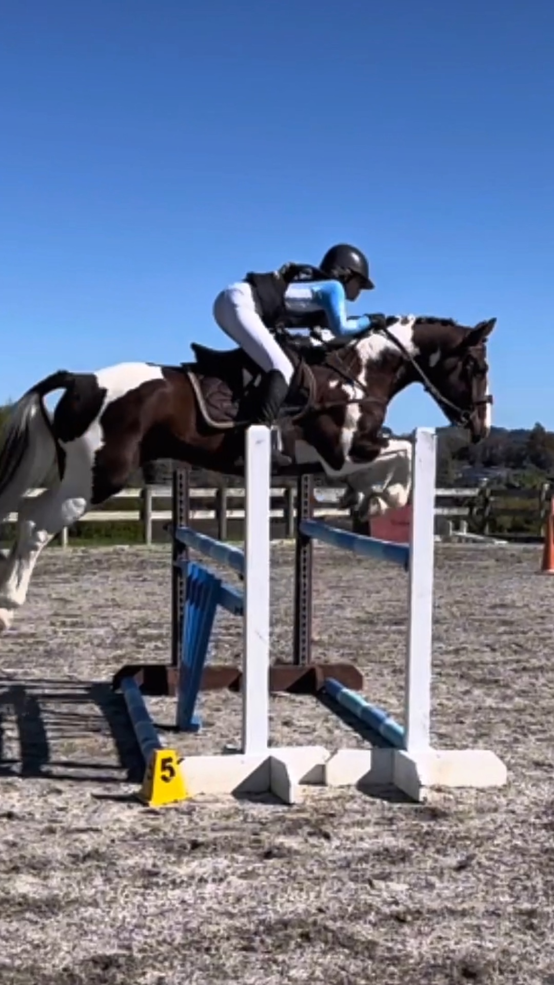 Progress edit 🏇