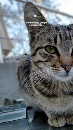 Sönmüyorsa Yangın