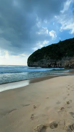 Video viral