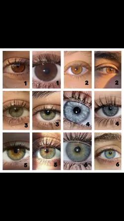 which is your eye?