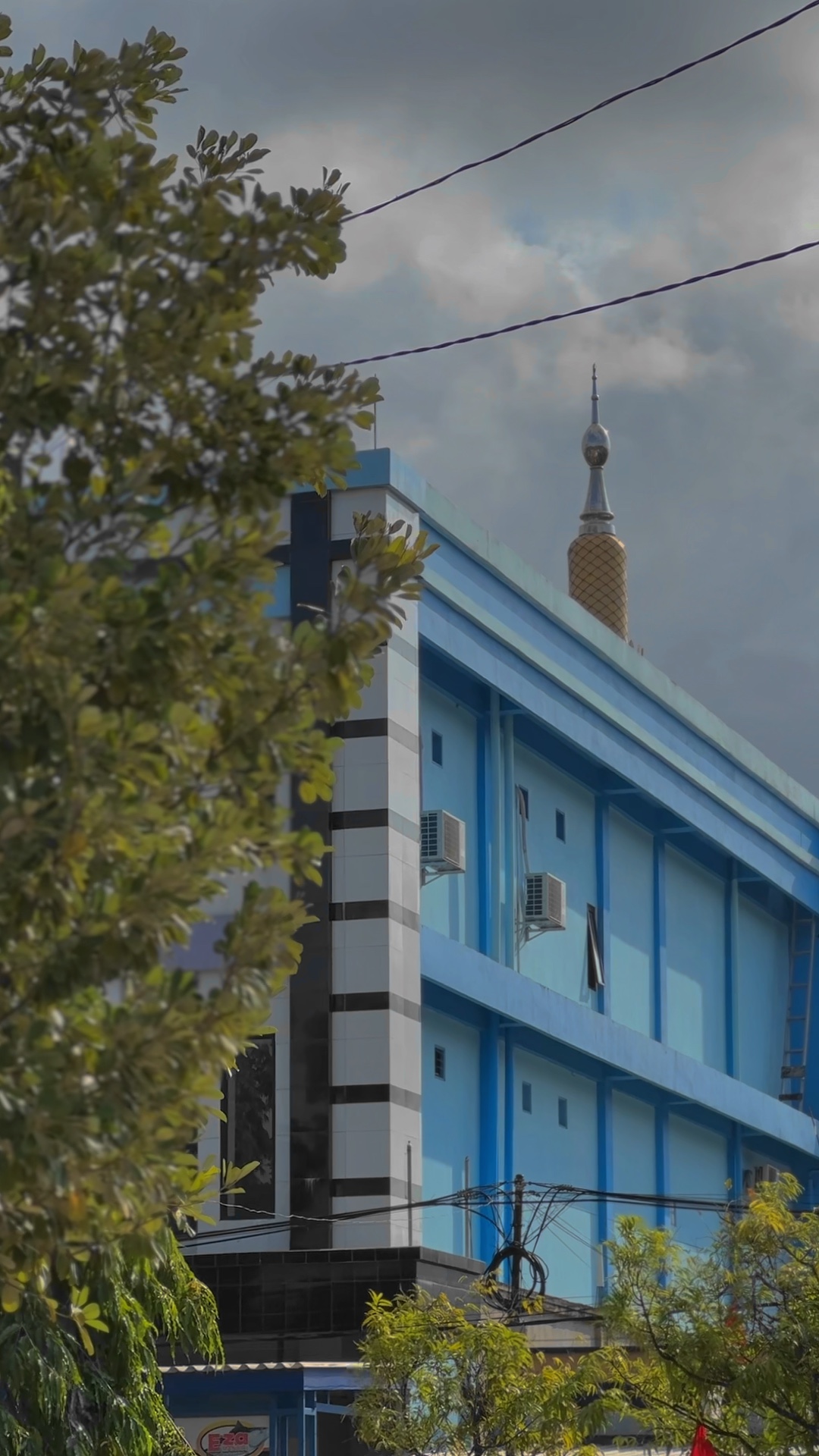 Cover Picture