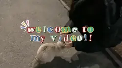 welcome to my video 