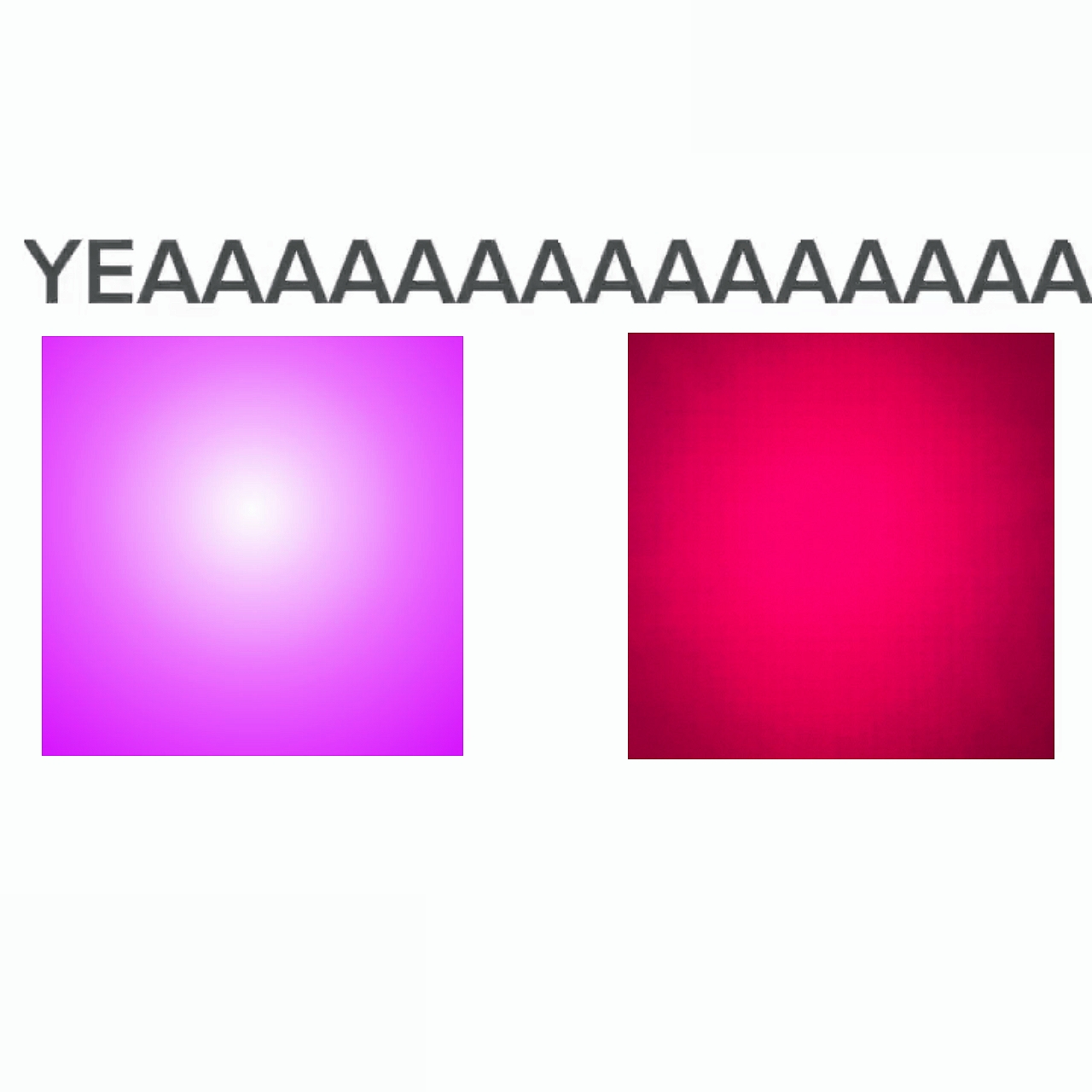 THIS IS EDIT MASTER