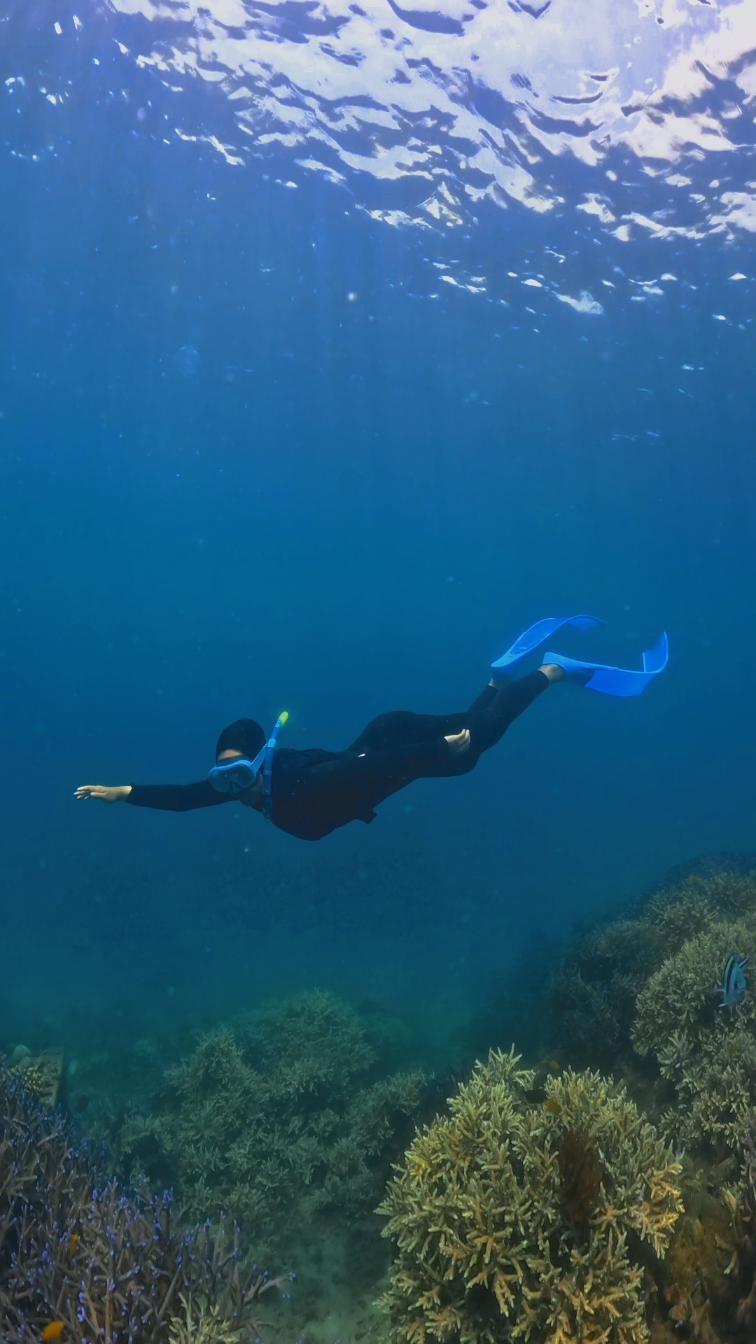 Température sous-marine