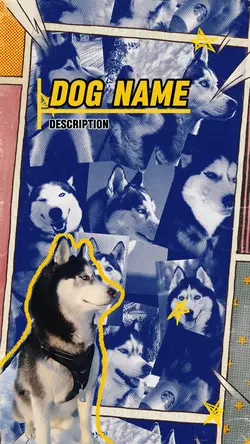 DOG Intro