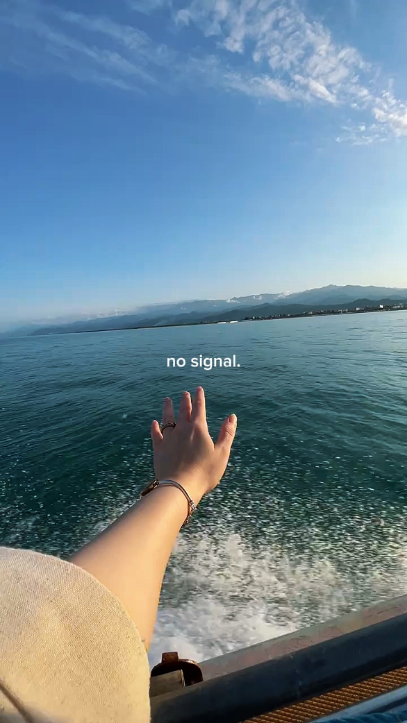 no signal
