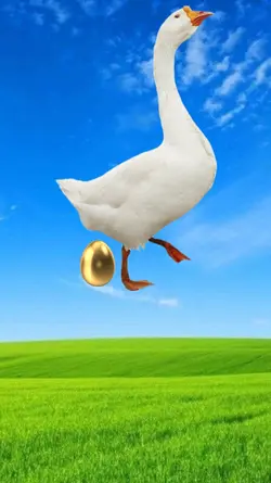 FUNNY HAPPY BIRTHDAY