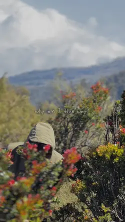 BMTH - LOST