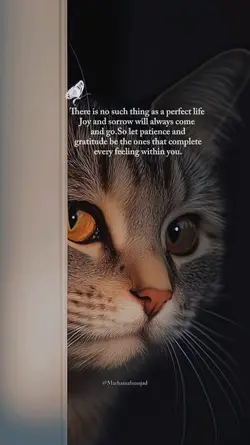 Daily Quotes