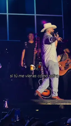 Si tú me vieras 