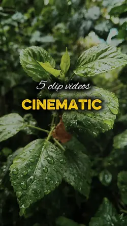nature cinematic 