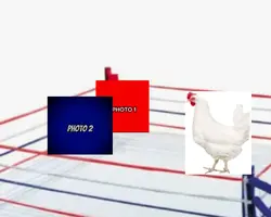 Chicken jockey