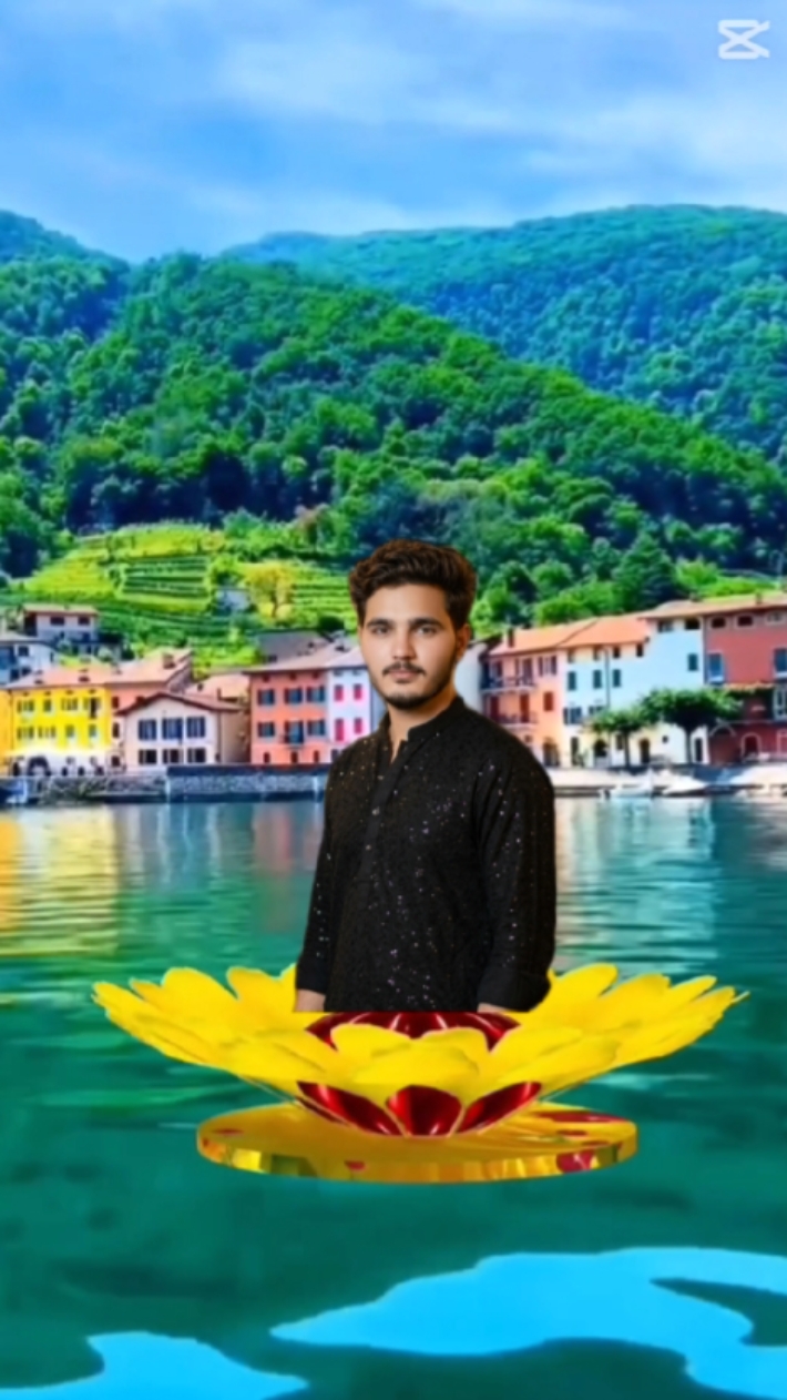 Cover Picture