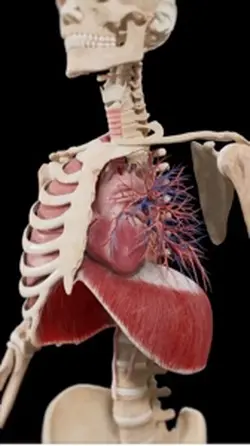 Turmeric Health Hack