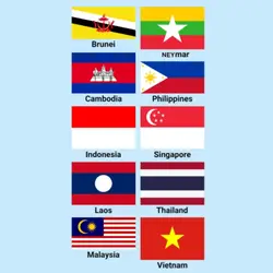 Neymar National Flag