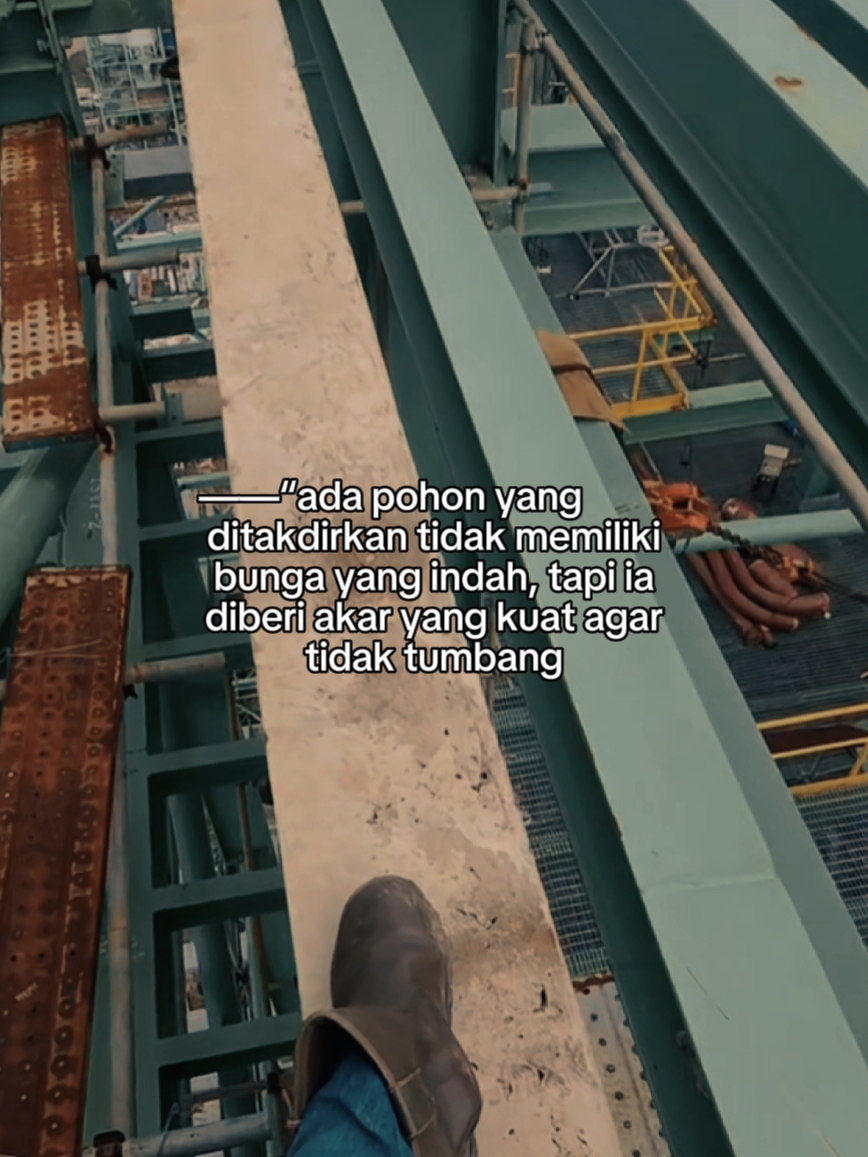 ada pohon yang ditak
