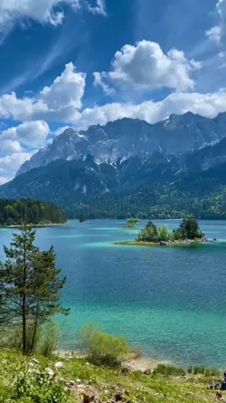 nature vibes