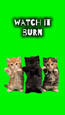 WATCH IT BURN