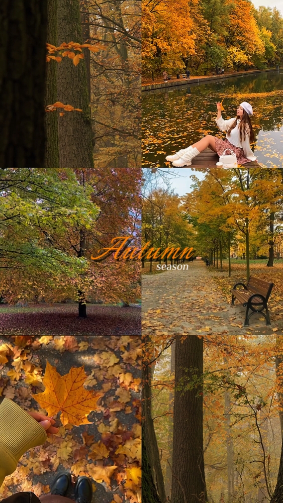autumn season