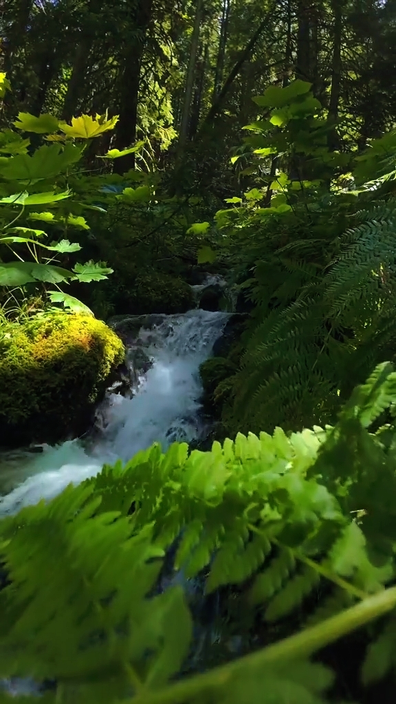 Vibrações da natureza