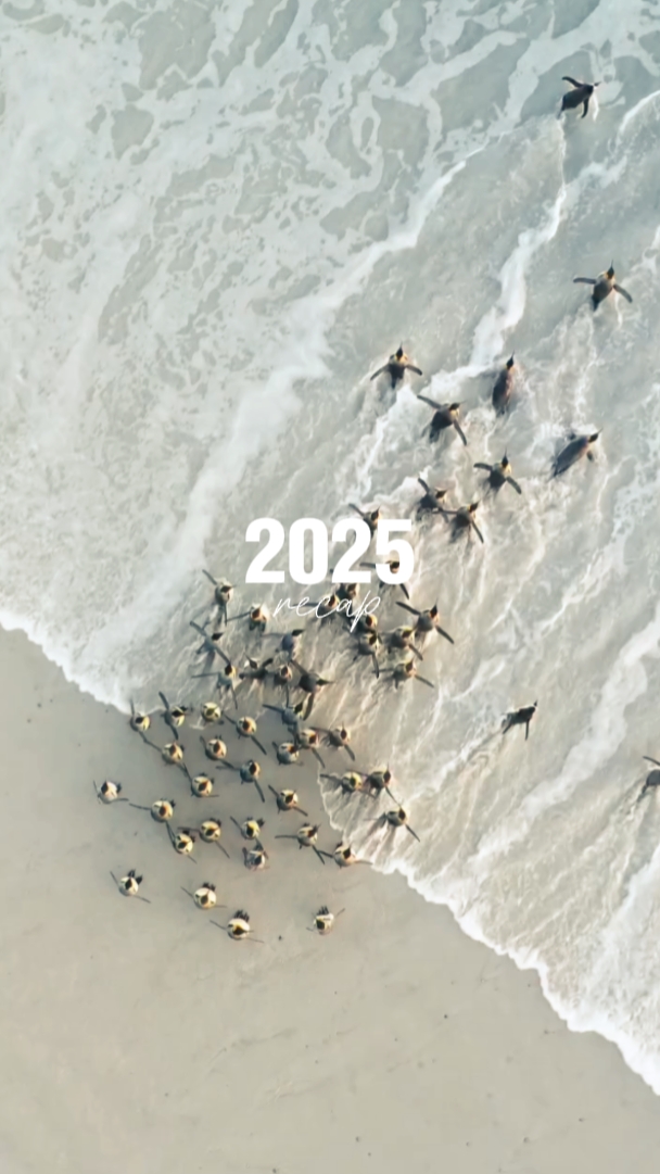 2025 recap 