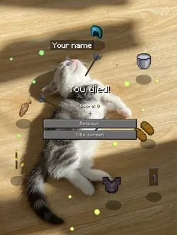 You died minecraft 