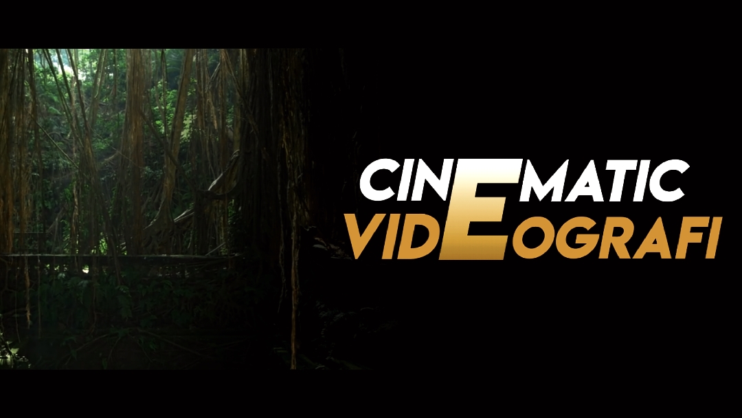 vidéografi cinématographique