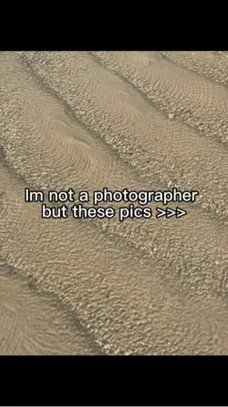 Photographer