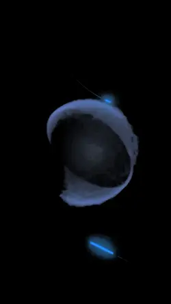 particles portrait