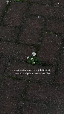 make sure to live