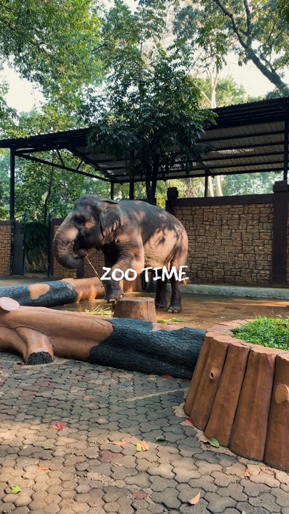 Zoo time - heals me