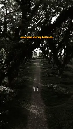 sevgiliye göndermelk